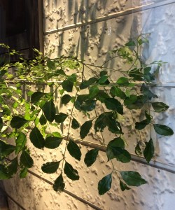 012c65b01fdfee45f3da366b62255926247a1f63a7