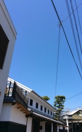 01a962a7c2a18b9c406bd2572ad0ab06844a779a50