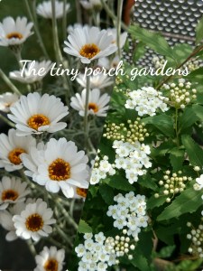 17-04-24-17-05-22-195_deco