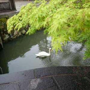 17-04-26-12-35-29-605_photo