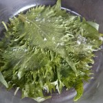 17-04-27-08-21-12-135_photo