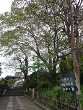 17-04-27-13-18-34-795_photo