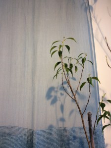 013e5492433c4895cd6e0741b0cac84c47d8931d9f