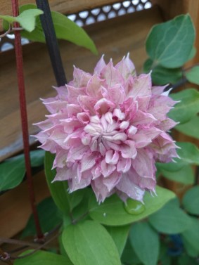 17-05-10-08-04-11-943_photo