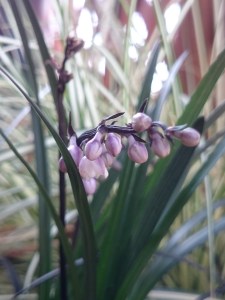 17-06-15-08-26-55-940_photo