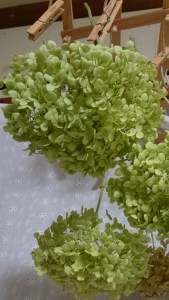 17-07-12-15-48-08-905_deco