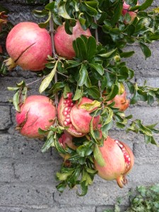 17-10-03-12-41-10-631_photo