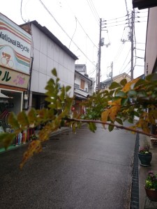 17-11-29-14-47-37-850_photo