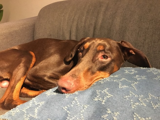 B417D6A8-6E1C-4DAE-9E13-3AA4BA0B2420