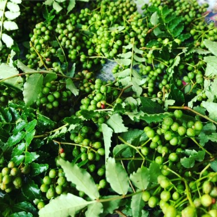 7090FCE2-470B-47AD-8181-3B9DE83A1196