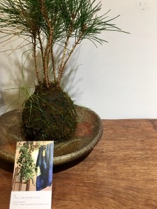 A0DB2262-6A9A-4C42-8147-1BA7B17770DE