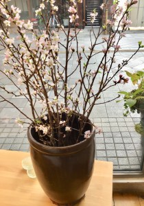 D35CDDFE-E8C8-4850-B205-96C6DDC4D9C0