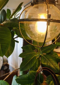 B5EDB9E5-FB6C-4C83-8E75-761DB2D0E496