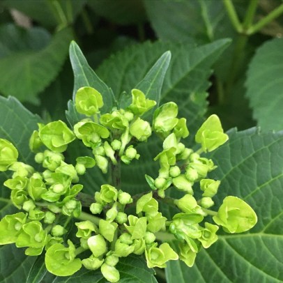 00E74391-B754-4253-8894-A8CFA5F6A8F0