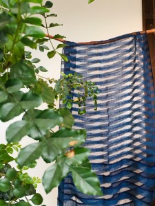 1B506ADC-97D6-44B6-8675-E724393EA933